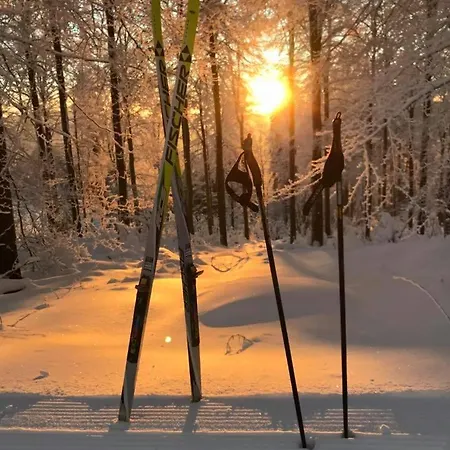 Hotell & Ferienappartements Edelweiss Willingen (Upland)