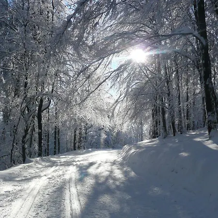 & Edelweiss מלון 4*