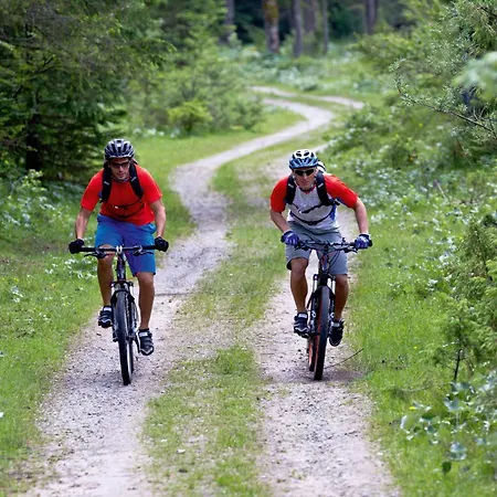 מלון & Edelweiss 4*