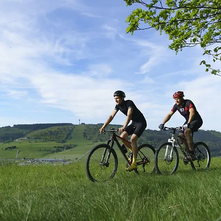 & Edelweiss 4* וילינגן