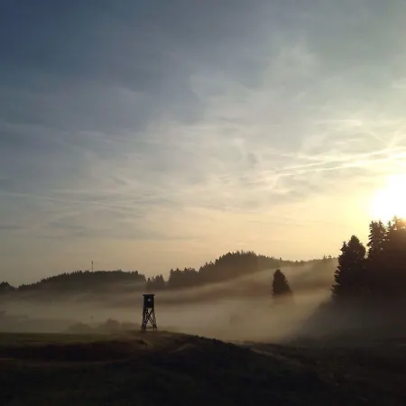 & Edelweiss מלון 4*