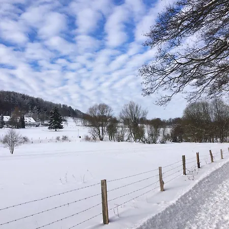 & Edelweiss מלון וילינגן