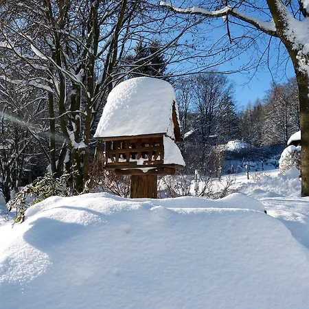 & Edelweiss מלון וילינגן