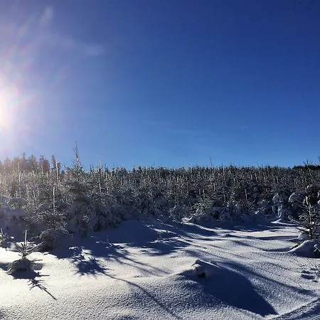 & Edelweiss וילינגן