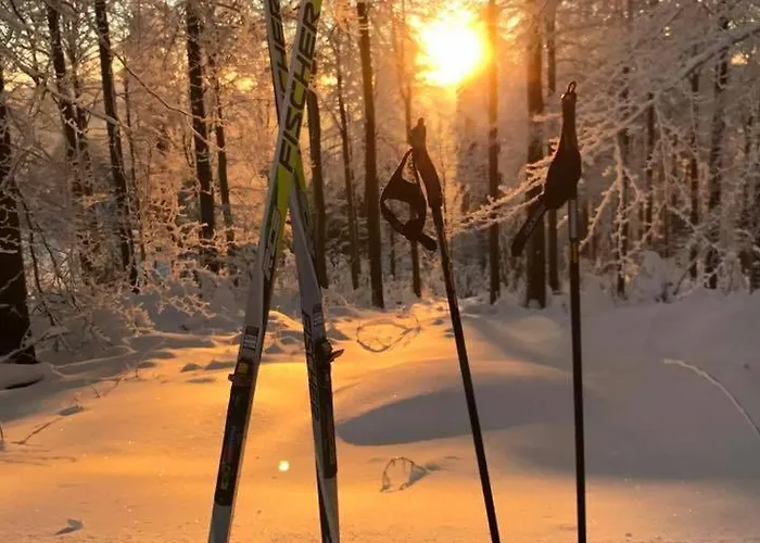 Hotel & Edelweiss Willingen (Upland)