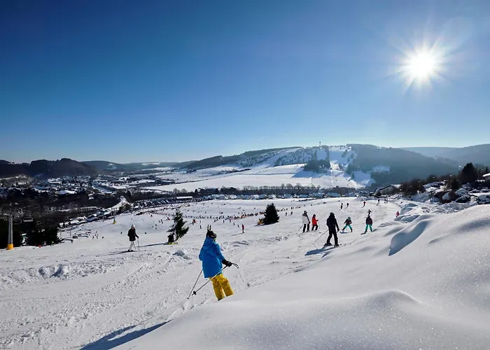 & Edelweiss Hotel Willingen (Upland)
