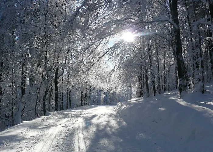 & Edelweiss 호텔 4*