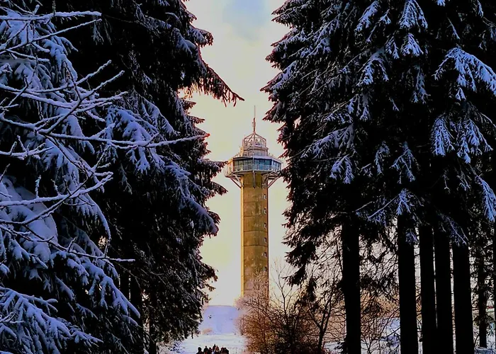 & Ferienappartements Edelweiss 4* Willingen (Upland)