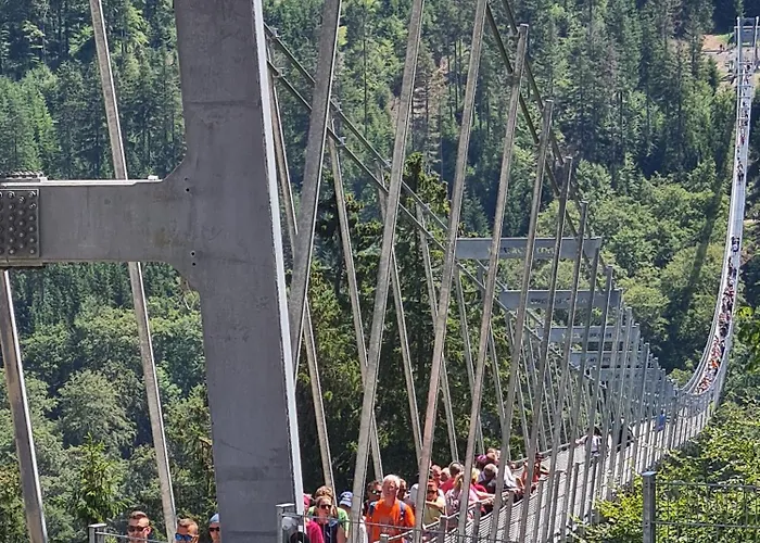 & Edelweiss Hotel Willingen (Upland)