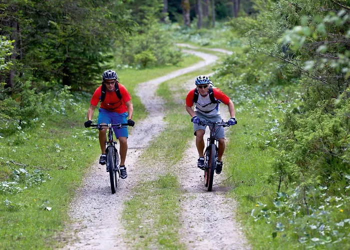 호텔 & Edelweiss 4*