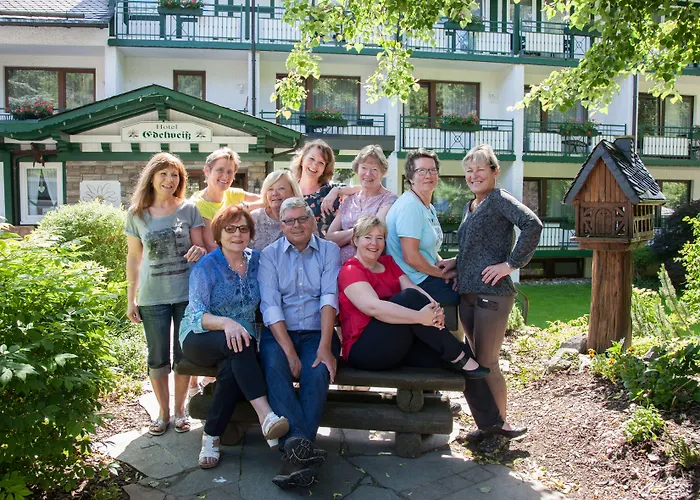 & Edelweiss Hotel Willingen (Upland)