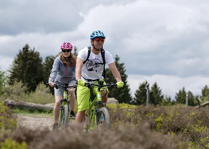 Hotel & Edelweiss Willingen (Upland)