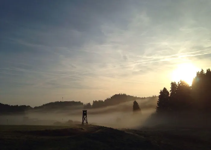 & Edelweiss 호텔 4*