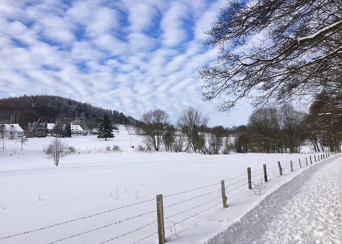 & Ferienappartements Edelweiss Hotell Willingen (Upland)