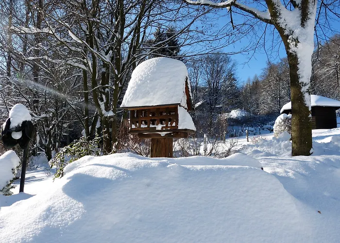 & Edelweiss Hotel Willingen (Upland)