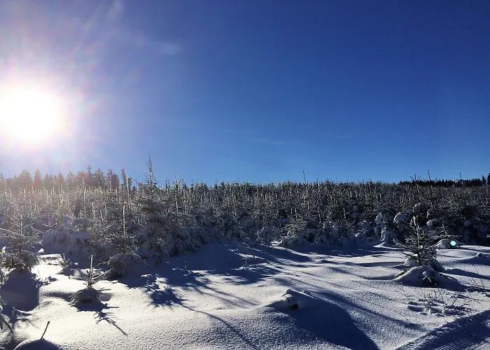 & Ferienappartements Edelweiss Willingen (Upland)